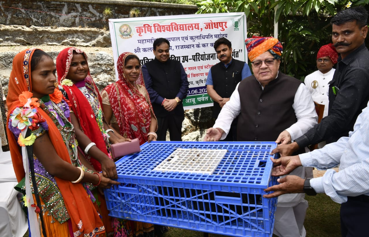 Hon'ble Governor has distributed mini pulse mill, improved poultry breed and steel seed storage tanks to the tribal farmers of Mount Abu region under Scheduled Tribe sub-project on behalf of Agriculture University, Jodhpur at Raj Bhawan, Mt Abu.